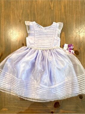 Blueberi Boulevard Shimmery Lilac Tulle Party Dress